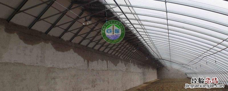 温室大棚土墙如何建造 怎么建设温室大棚墙体