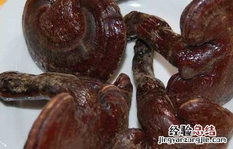 灵芝孢子油的功效与作用 灵芝孢子粉的功效与作用