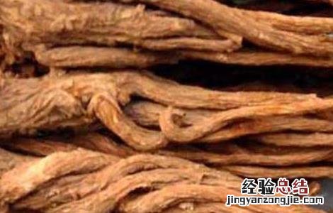 当归的功效与作用及禁忌症 当归的功效与作用