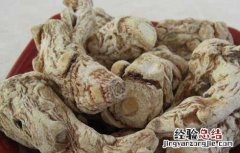当归的功效与作用及禁忌症 当归的功效与作用