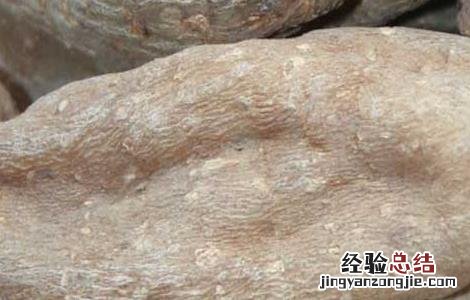 天麻能治失眠吗 天麻能治失眠吗全天麻胶囊