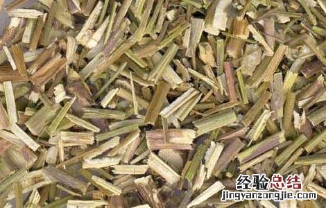 荆芥的功效与作用图片 荆芥的功效与作用