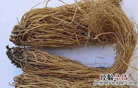 细辛的功效与作用及副作用 细辛的功效与作用