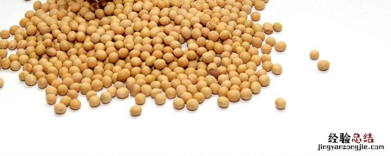 黄豆做肥最简单的发酵方法 黄豆发酵做肥料步骤