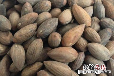 干果种类 干果种类大全名字图片