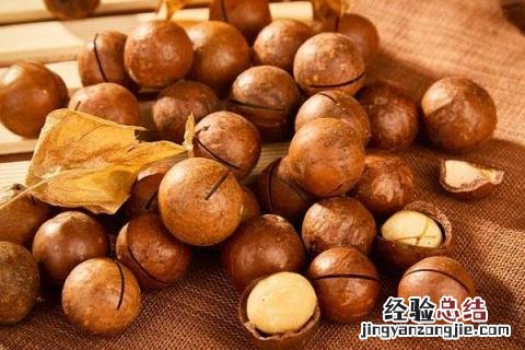 干果种类 干果种类大全名字图片