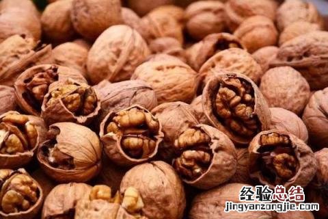 干果种类 干果种类大全名字图片