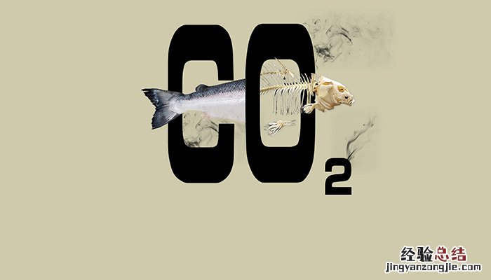 2co2中2的含义 2CO中2的含义
