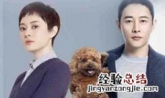 安家电视剧演员 这部剧讲述了什么事情