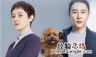 安家电视剧演员 这部剧讲述了什么事情