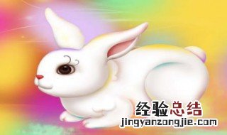 属兔的和什么属相最配 属兔与什么生肖相配