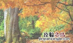 温带季风气候的植被类型 温带季风气候的特点
