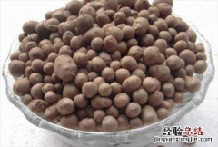 山药蛋是什么东西啊 山药蛋