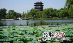 四面荷花三面柳一城山色半城湖的意思 四面荷花三面柳一城山色半城湖介绍