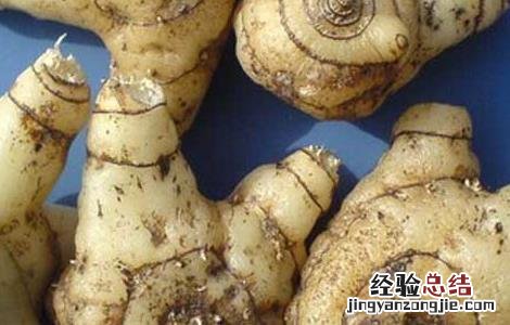 白芨的美容功效 白芨的美容功效与作用禁忌