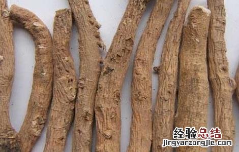 板蓝根的副作用大吗 板蓝根的副作用