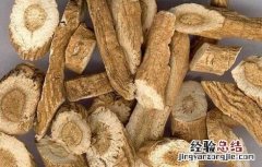 板蓝根的副作用大吗 板蓝根的副作用