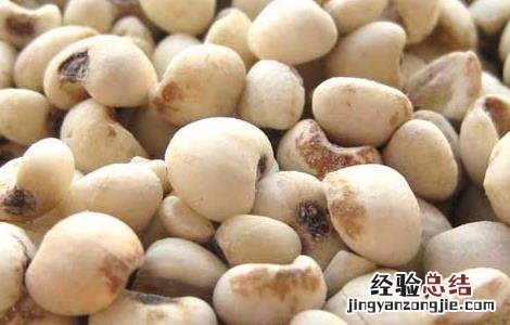 薏苡仁的功效与作用的功能与主治与用量 薏苡仁的功效与作用