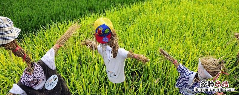 农科站属于什么单位 农科所属于什么单位