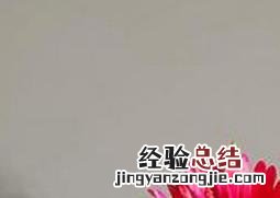 奔龙的养殖方法和注意事项有哪些 奔龙的养殖方法和注意事项