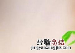 绿宝树的养殖方法和注意事项 绿宝树的养殖方法和注意事项视频