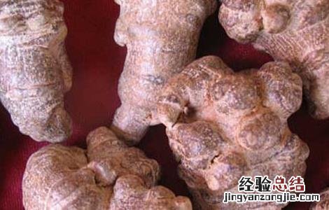 三七粉的作用与功效 三七粉的作用与功效有哪些