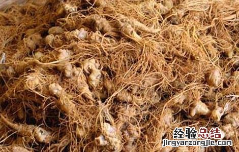 三七粉的作用与功效 三七粉的作用与功效有哪些