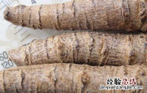 三七粉的作用与功效 三七粉的作用与功效有哪些