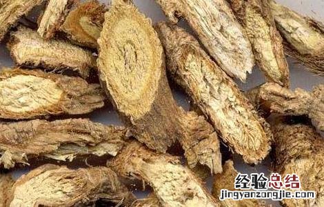 防风的功效与作用及禁忌