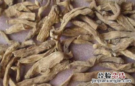 防风的功效与作用及禁忌