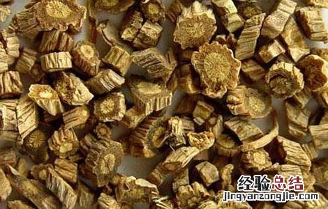 防风的功效与作用及禁忌