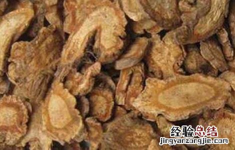防风的功效与作用及禁忌