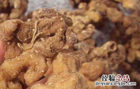 地黄根的作用有哪些功效 地黄根的作用有哪些