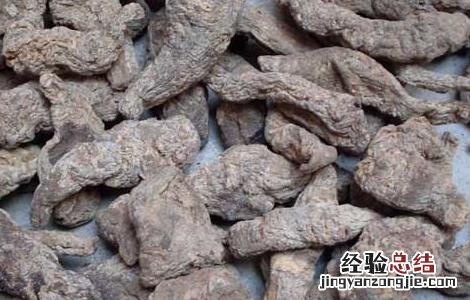 地黄根的作用有哪些功效 地黄根的作用有哪些