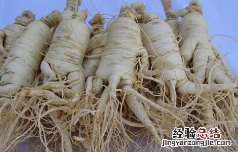 黄芪和西洋参泡水喝的功效 西洋参泡水喝的功效