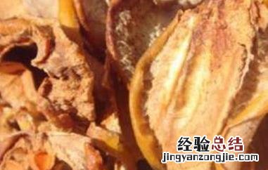 酸木瓜干泡酒的功效与作用 酸木瓜泡酒的功效与作用点