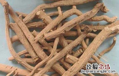 板蓝根的功效与作用新冠 板蓝根的功效与作用