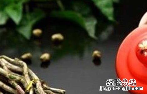 铁皮石斛的功效与作用的功能与主治 铁皮石斛的功效与作用