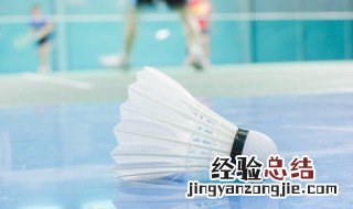 羽毛用英语怎么说 羽毛用英语的说法