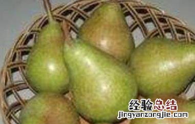 茄梨的功效和作用 茄梨的功效和作用是什么