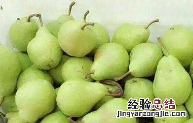 茄梨的功效和作用 茄梨的功效和作用是什么