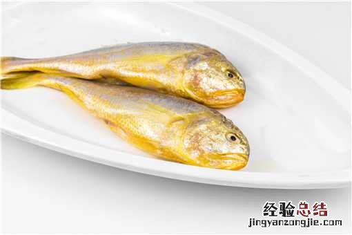 天然黄瓜鱼一斤多少钱 黄瓜鱼一斤多少钱