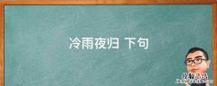 冷雨夜归 冷雨夜归人
