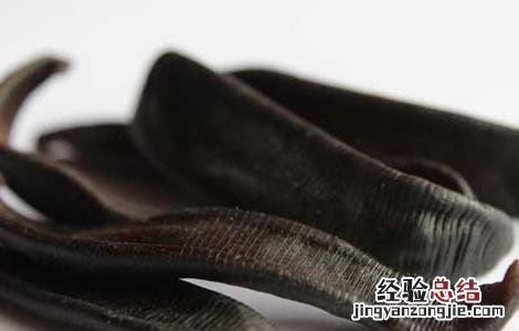 水蛭的功效与作用及禁忌 中药水蛭的功效与作用及禁忌