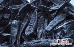 水蛭的功效与作用及禁忌 中药水蛭的功效与作用及禁忌