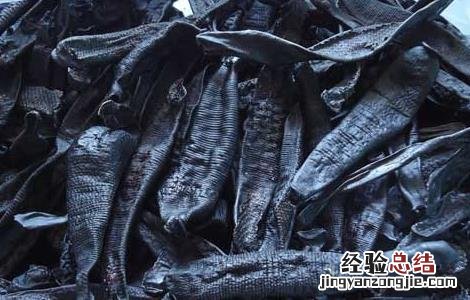 水蛭的功效与作用及禁忌 中药水蛭的功效与作用及禁忌