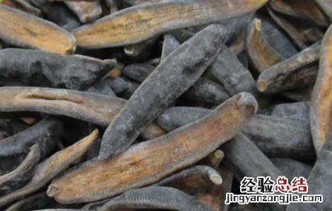 水蛭的功效与作用及禁忌 中药水蛭的功效与作用及禁忌