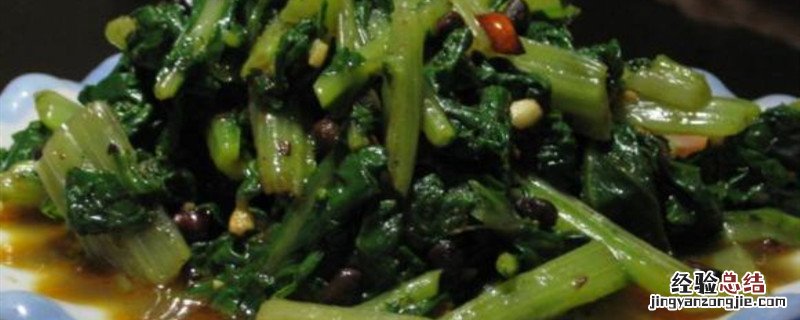 牛皮菜种植时间与方法大全 牛皮菜种植时间与方法