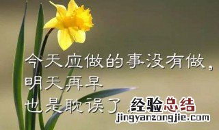 小清新早安心情句子 小清新的早安句子