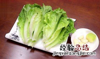 生菜的营养价值及功效与作用 生菜的营养价值及功效与作用禁忌